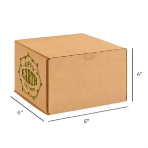 Earth Day Kit